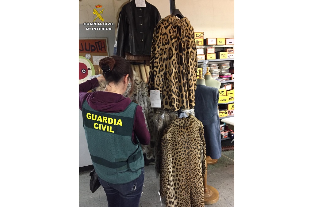 Fashion items derived from protected big cat species detected online and seized by Spain’s Guardia Civil. Top: jaguar (Panthera onca) - Bottom: leopard (Panthera pardus) - Back: lynx