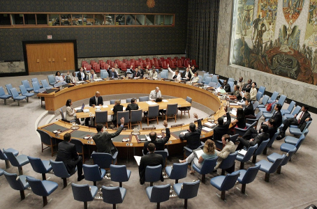 United Nations Security Council